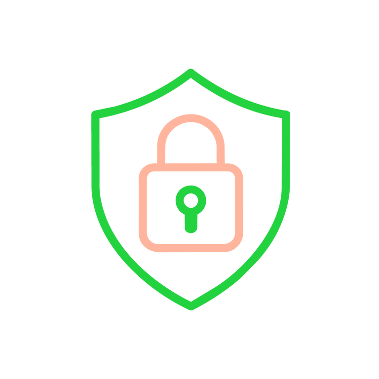 Privacy Icon